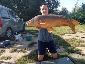 Mirror Carp