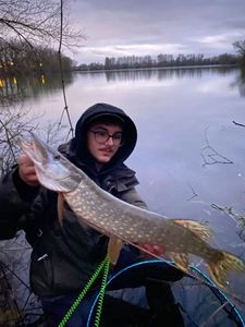 Northern Pike