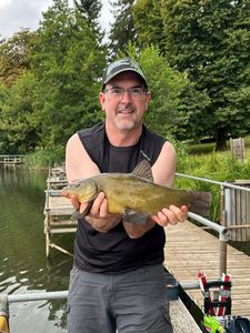 Tench