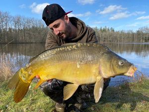 Mirror Carp