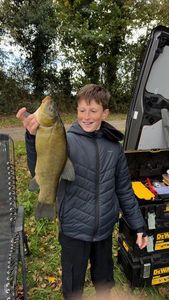 Tench