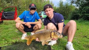 Common Carp