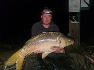 Mirror Carp