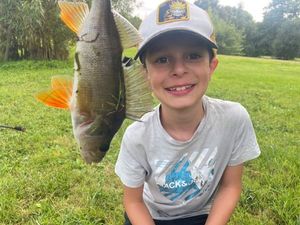European Perch