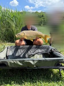 Leather Carp