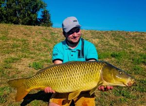 Common Carp