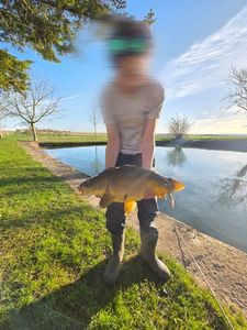 Mirror Carp