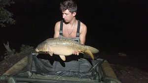 Mirror Carp
