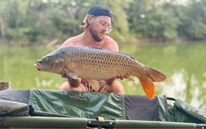 Common Carp