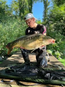 Mirror Carp