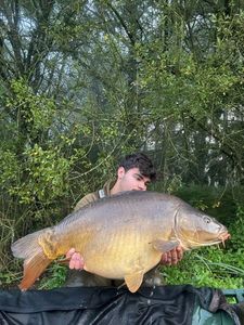 Mirror Carp