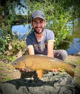 Common Carp