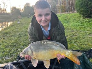 Mirror Carp