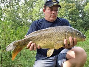 Common Carp