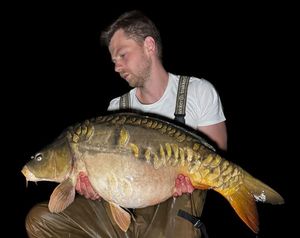Mirror Carp