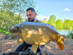 Mirror Carp