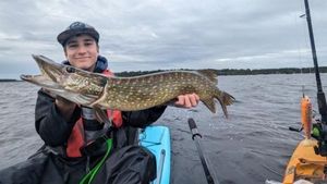 Northern Pike