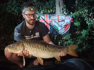 Mirror Carp