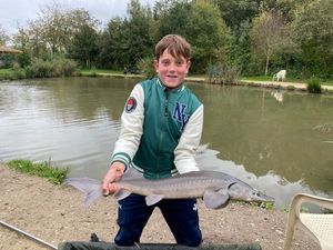 Dabry's Sturgeon