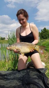 Mirror Carp