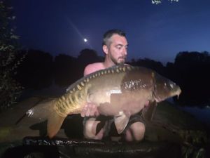 Mirror Carp