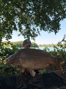 Leather Carp