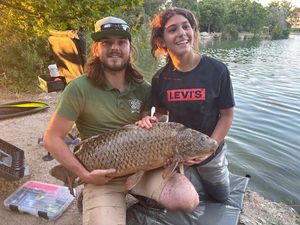 Common Carp