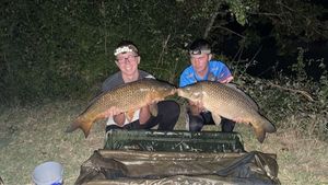 Common Carp