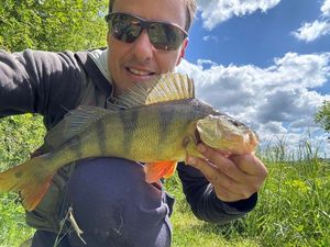 European Perch