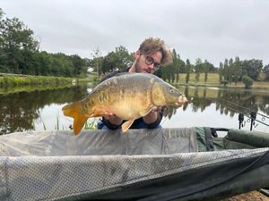 Mirror Carp