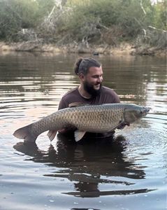 Grass Carp