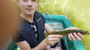 Northern Pike