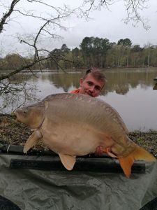 Mirror Carp