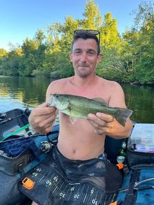 Smallmouth Bass