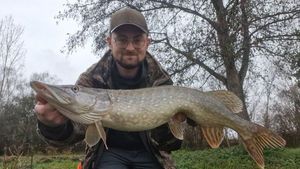 Northern Pike