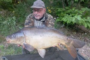 Mirror Carp