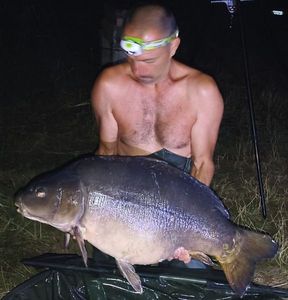 Mirror Carp