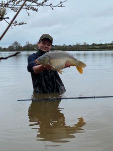 Mirror Carp
