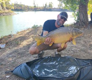 Mirror Carp