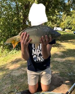 Mirror Carp