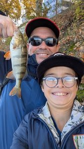 European Perch