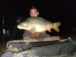 Mirror Carp