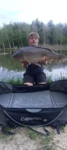 Common Carp