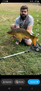 Mirror Carp