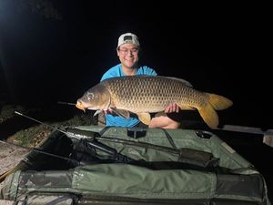 Common Carp