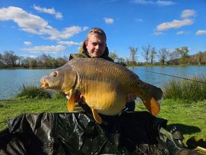 Mirror Carp