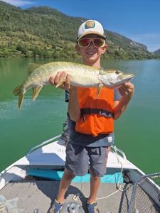 Northern Pike