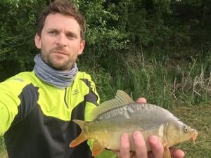 Mirror Carp