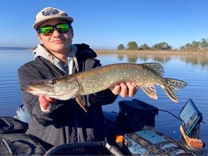 Northern Pike