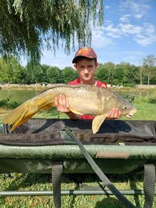 Mirror Carp
